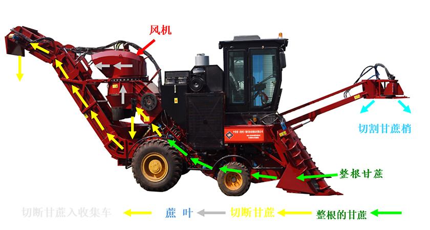 最新柳产甘蔗收割机，引领农业生产革新，先锋利器助力高效收割